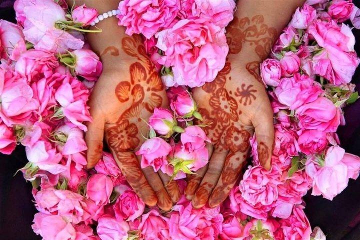Marrakech Tour Guide: Half day