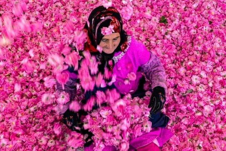 Marrakech Tour Guide: Half day