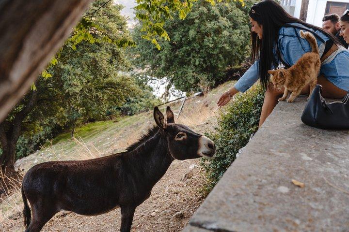 Naxos: Private Full Island 5-Hour Tour