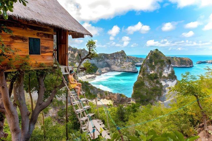東ヌサペニダのハイライト：バリ島からのプライベート終日日帰り旅行