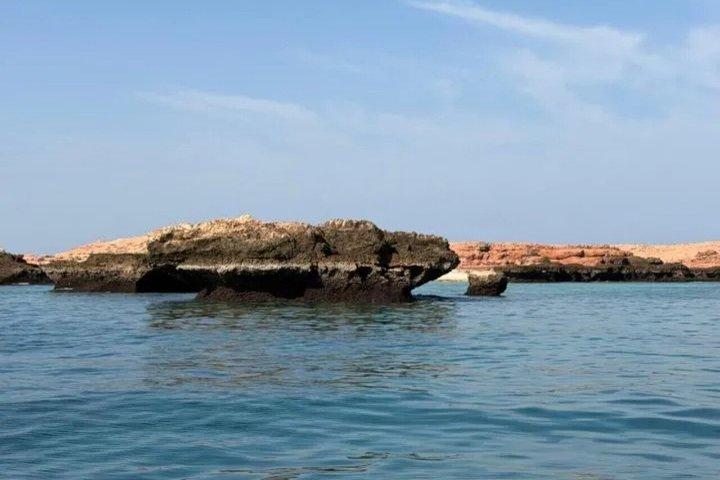 マスカット：デイマニヤット島シュノーケリング驚異の旅