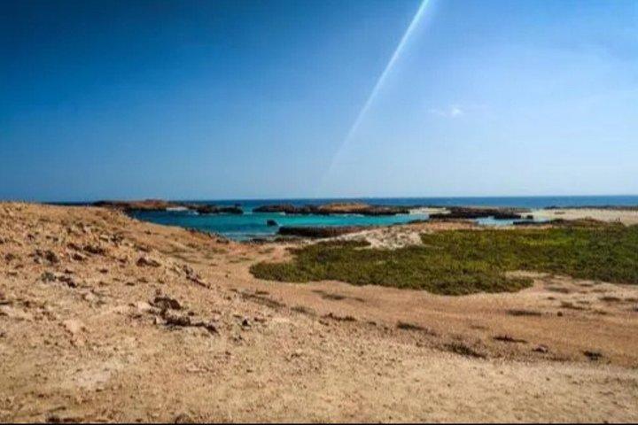 マスカット：デイマニヤット島シュノーケリング驚異の旅