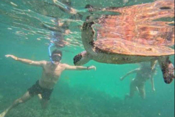 マスカット：デイマニヤット島シュノーケリング驚異の旅