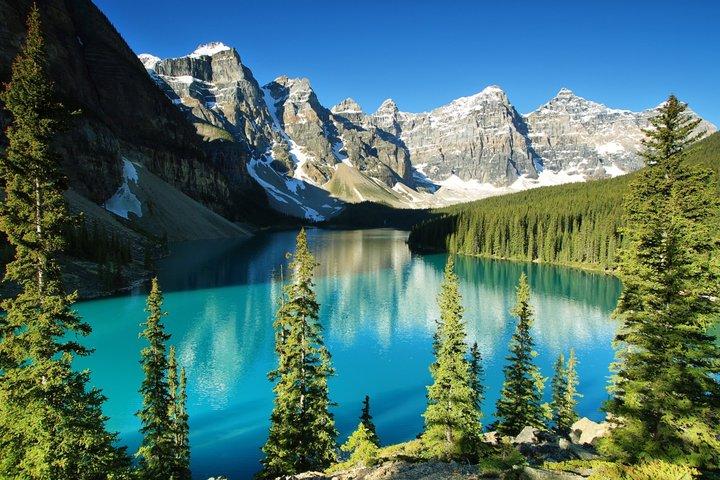 8 Iconic Stops. 12 Comfy Seats. See Banff's Best in First Class.