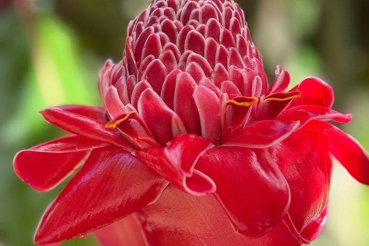 Visitez Tahiti en Privé