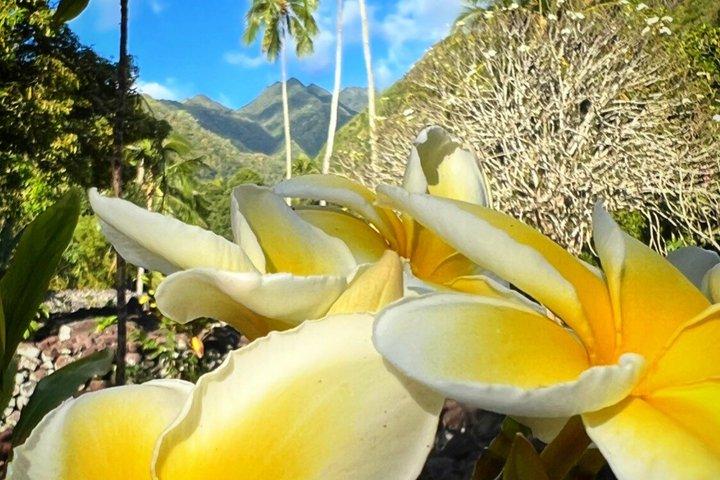Visitez Tahiti en Privé