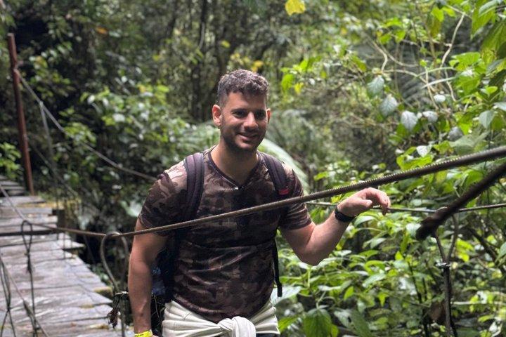 Rota dos Beija-flores e Trilhas em Cocora a partir de Salento