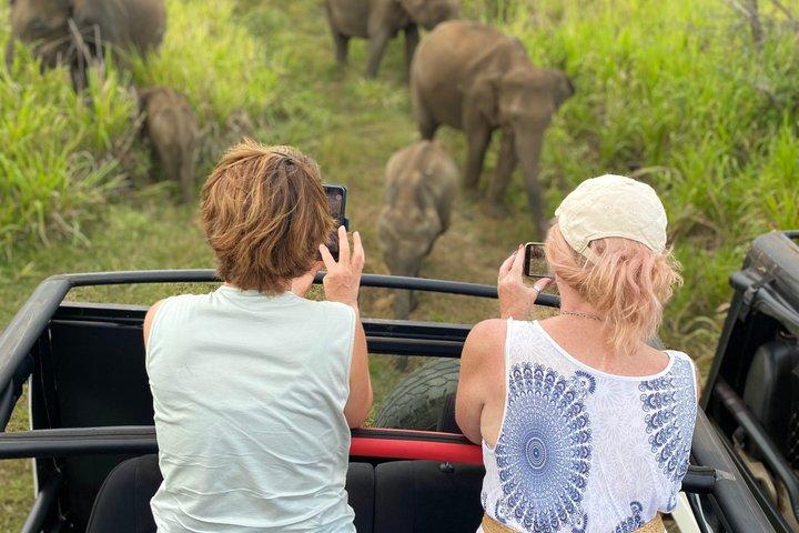 プライベート・ハバラナ・サファリ・ゾウ、カウドゥッラ・ミンネリヤ、またはフルル