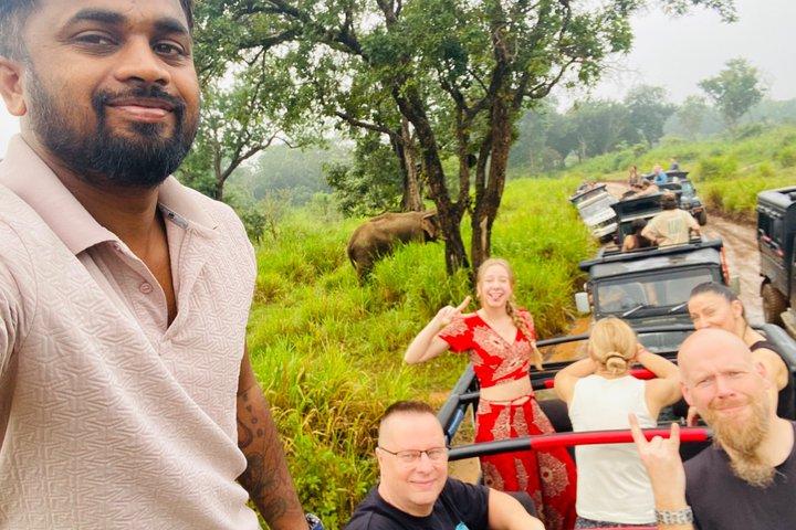 プライベート・ハバラナ・サファリ・ゾウ、カウドゥッラ・ミンネリヤ、またはフルル