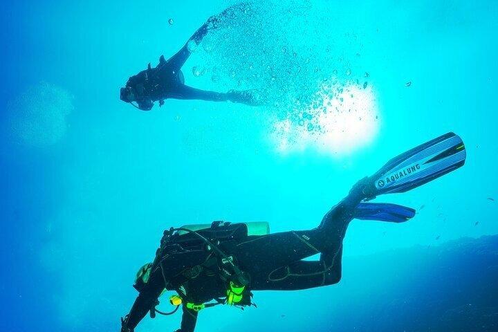ポートシティでのスキューバダイビング