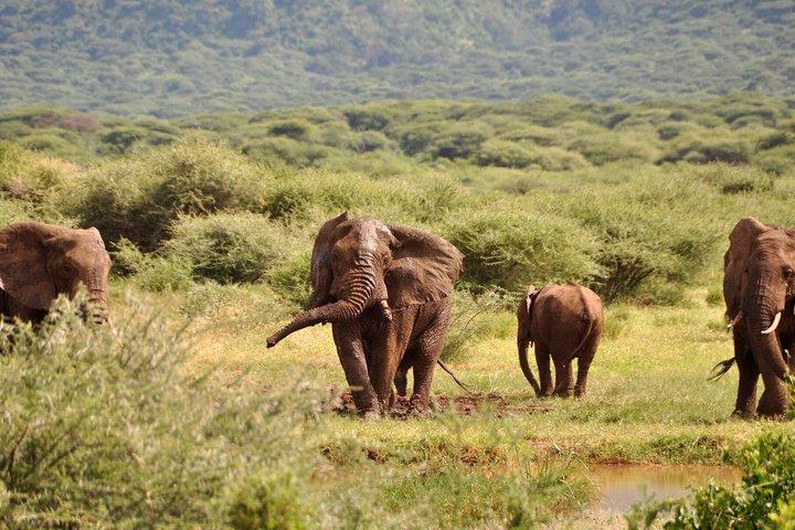 8 Day Tanzania Circuit Layout Adventure