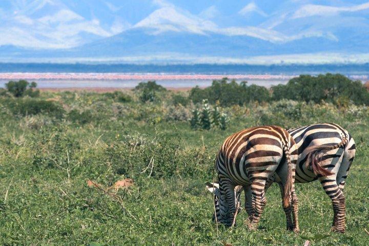 8 Day Tanzania Circuit Layout Adventure