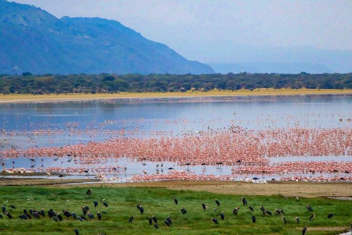 8 Day Tanzania Circuit Layout Adventure