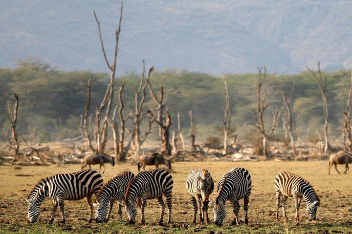 8 Day Tanzania Circuit Layout Adventure