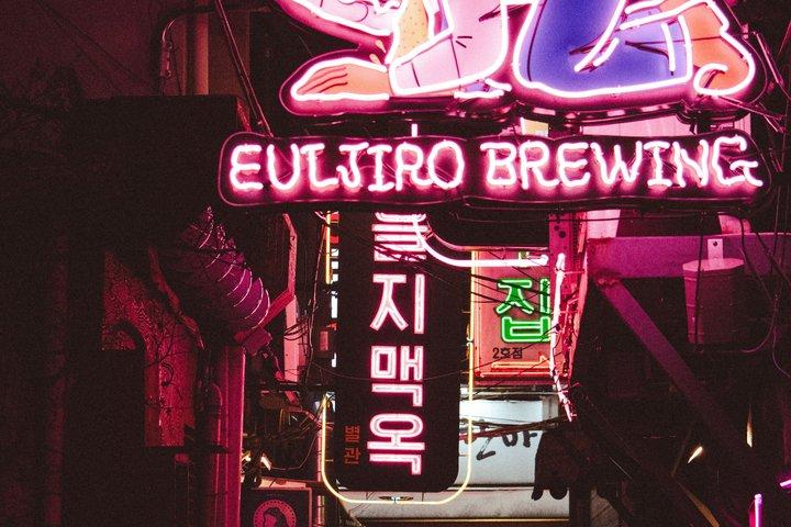 Seoul After Dark Euljiro Pub Crawl and Soju Tasting