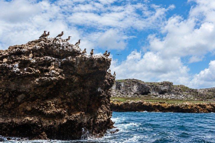 Marietas Islands from Punta Mita with optional Hidden Beach