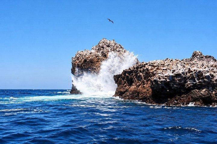Marietas Islands from Punta Mita with optional Hidden Beach