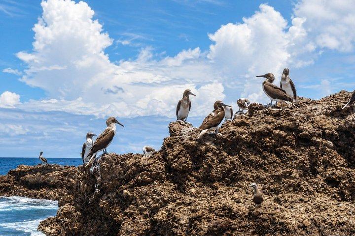 Marietas Islands from Punta Mita with optional Hidden Beach