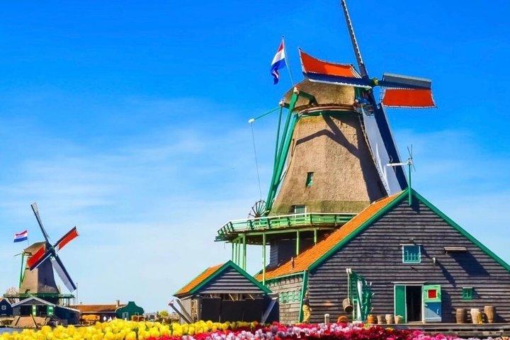 アムステルダムからの小グループ日帰り旅行：ザーンセ・ハンスとギーホー른！