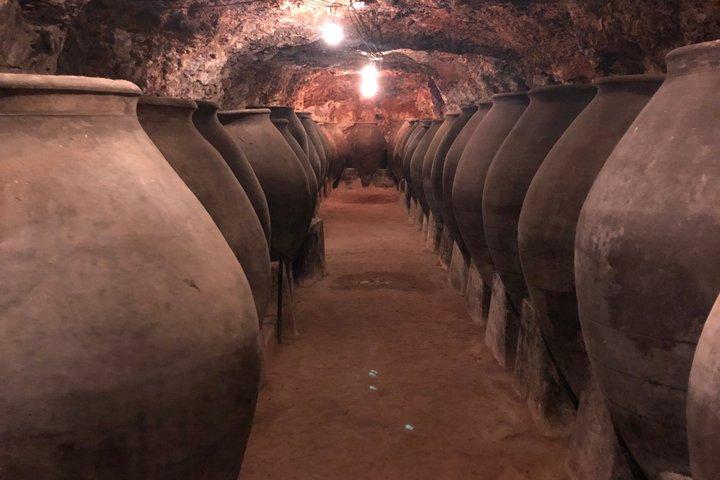 Madrid Wineries Half-Day Wine Tour With Hotel Pickup