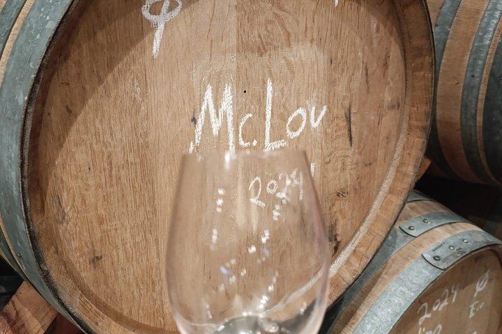 Madrid Wineries Half-Day Wine Tour With Hotel Pickup