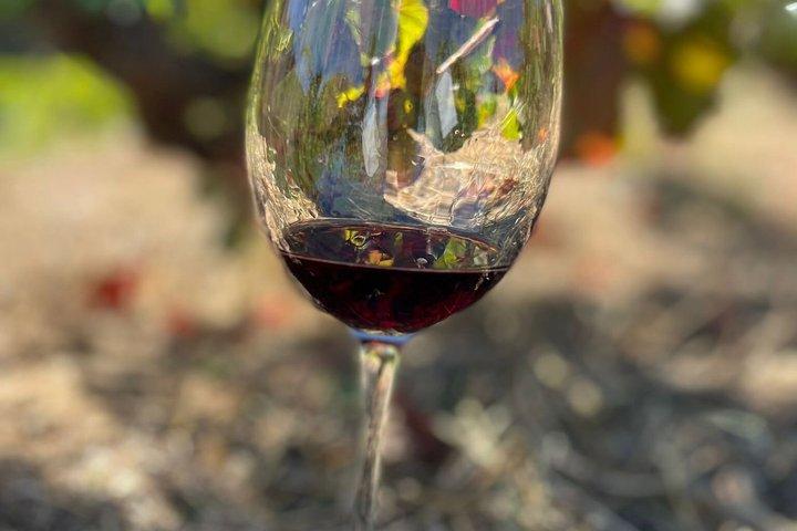 Madrid Wineries Half-Day Wine Tour With Hotel Pickup