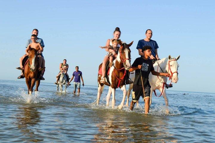 エルハダのビーチと砂漠での壮大な2時間乗馬体験