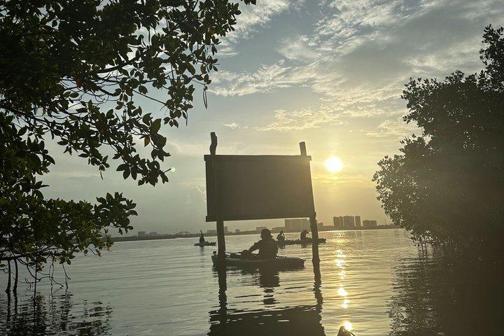 Guided Kayak Exploration Through Nichupte Lagoon Cancun