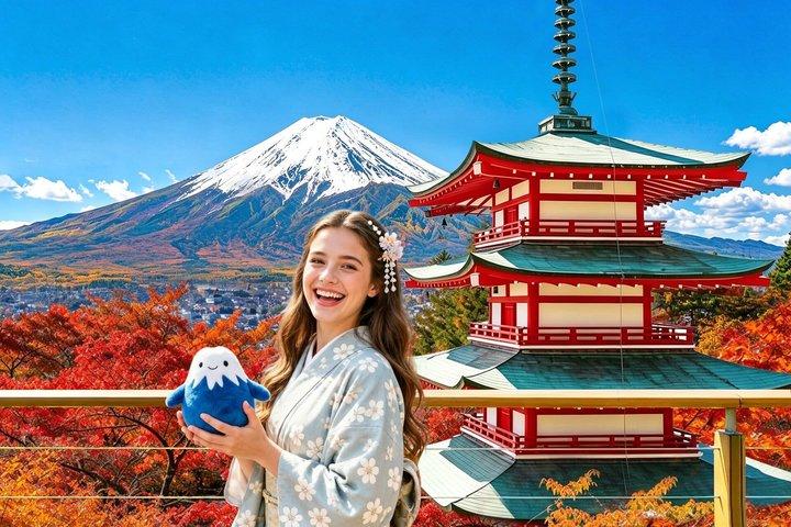 東京発富士山全日観光ツアー