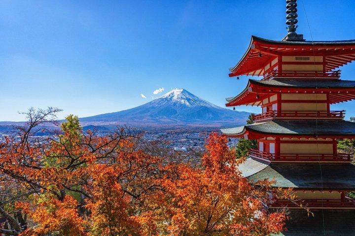 東京 / 新宿：富士山日帰りツアー 河口湖＆山中湖
