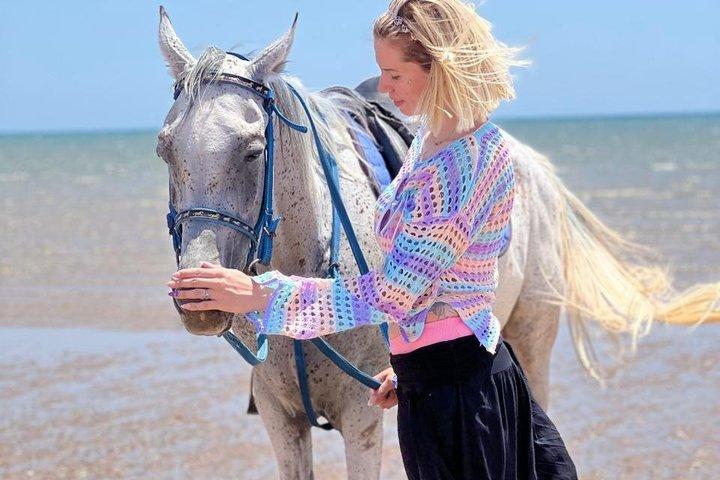 エルハダのビーチと砂漠での壮大な2時間乗馬体験