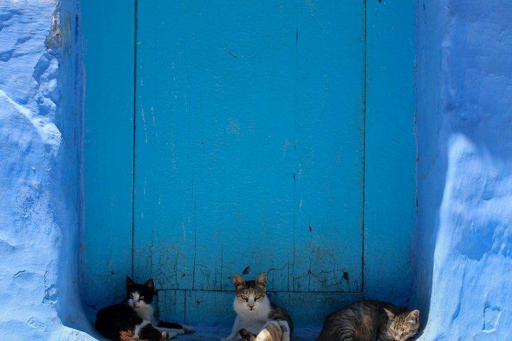 3-Days Trip from Marrakech to Chefchaouen via Imperial Cities