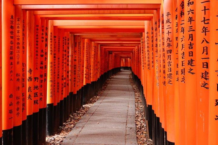 English Fushimi Inari Tour Torii Gates and Hidden Bamboo Forest