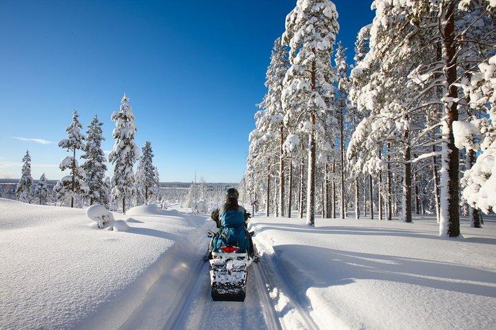 Rovaniemi Small Group Snowmobile Safari in Arctic Wilderness
