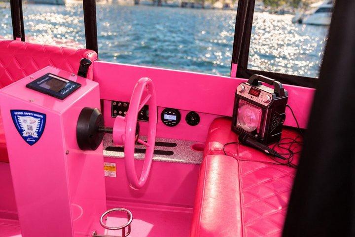サンディエゴピンク電動ボートレンタル