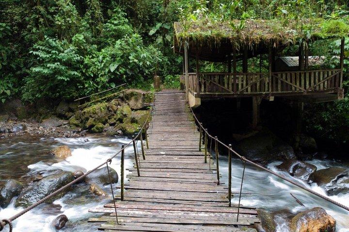From Quito: Mindo Cloud Forest Day Trip with Waterfall Hike
