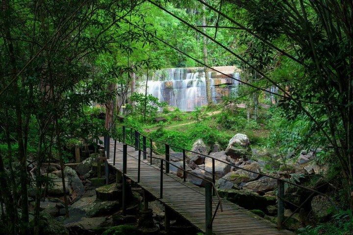 From Quito: Mindo Cloud Forest Day Trip with Waterfall Hike