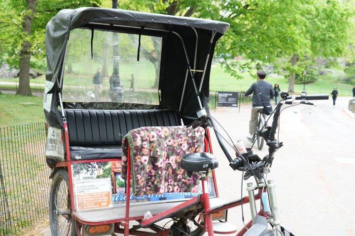 Passeio Privado de Pedicab no Central Park de NYC com Paradas Fotográficas Cênicas