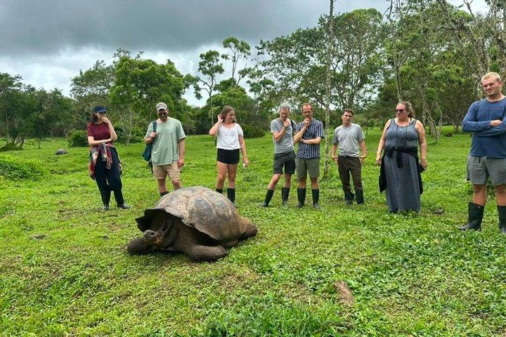 10-Day Galapagos Tour: Santa Cruz, Isabela & San Cristobal