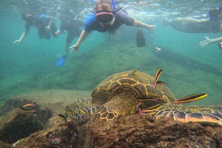 10-Day Galapagos Tour: Santa Cruz, Isabela & San Cristobal