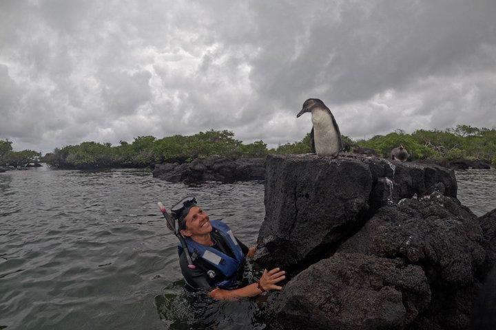 10-Day Galapagos Tour: Santa Cruz, Isabela & San Cristobal