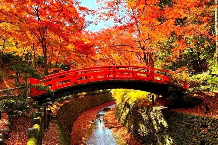大阪バスツアー体験 勝牛寺、宮山、嵐山