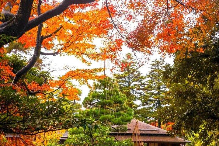 大阪バスツアー体験 勝牛寺、宮山、嵐山
