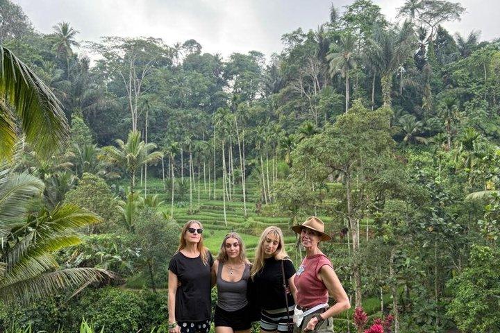 Ubud privétocht, rijstterrassen, tempel, waterval alles inbegrepen