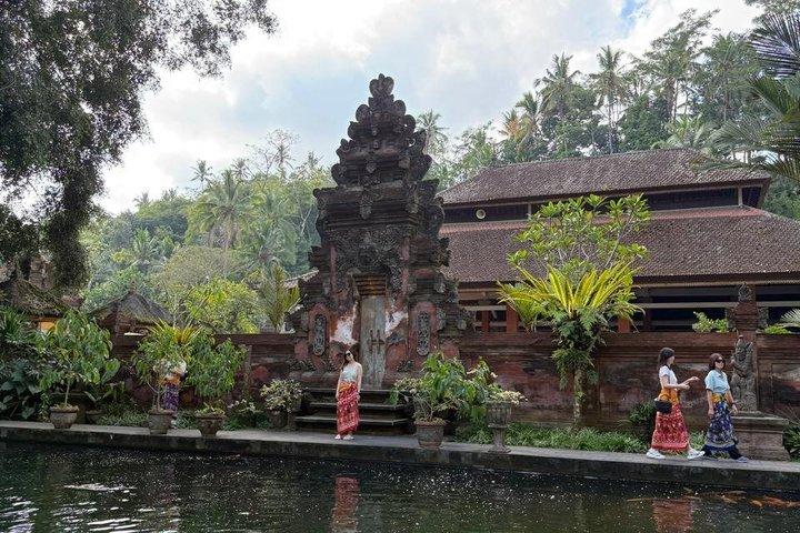 Ubud privétocht, rijstterrassen, tempel, waterval alles inbegrepen