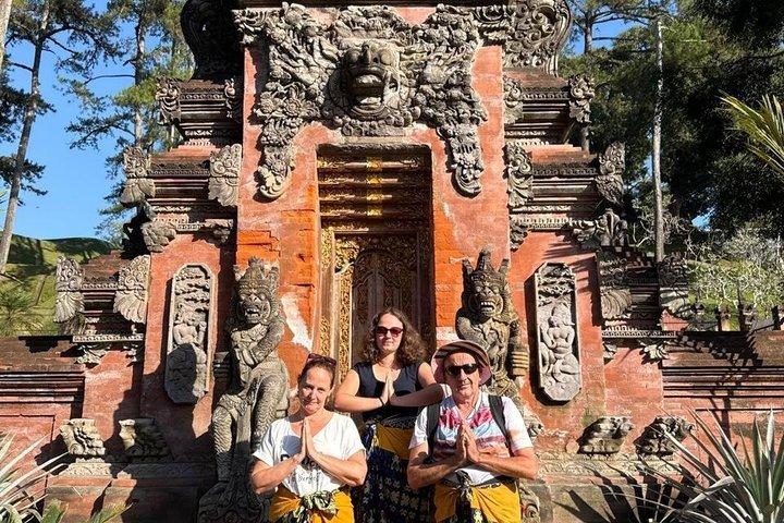Ubud privétocht, rijstterrassen, tempel, waterval alles inbegrepen