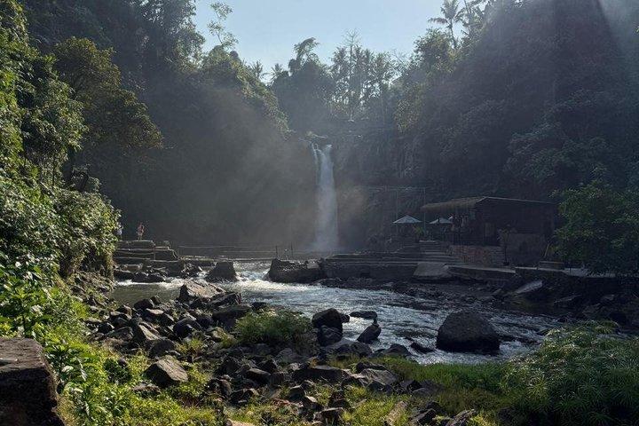 Ubud privétocht, rijstterrassen, tempel, waterval alles inbegrepen
