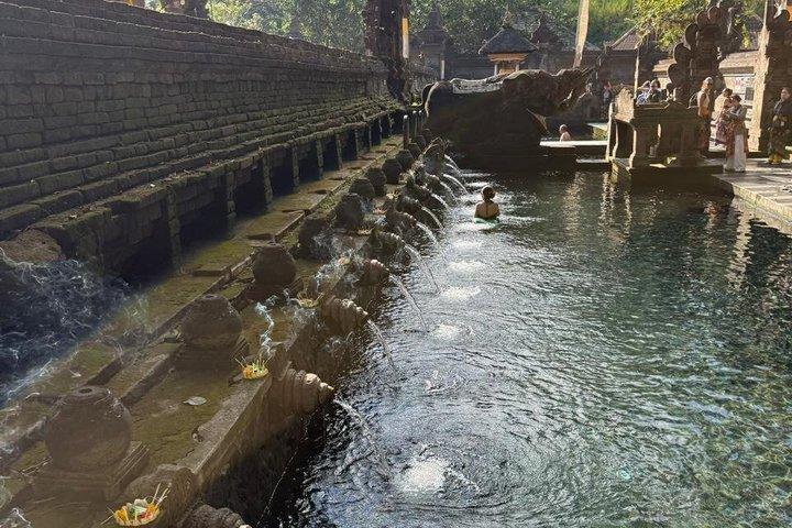Ubud privétocht, rijstterrassen, tempel, waterval alles inbegrepen