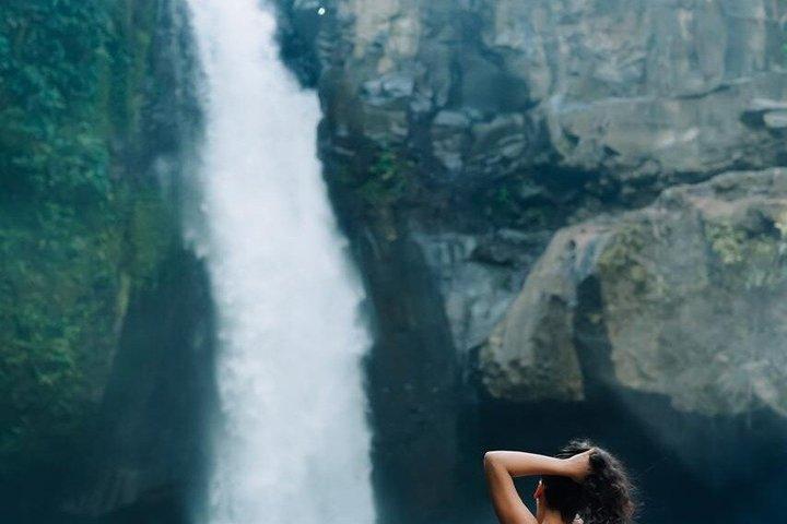 Ubud privétocht, rijstterrassen, tempel, waterval alles inbegrepen