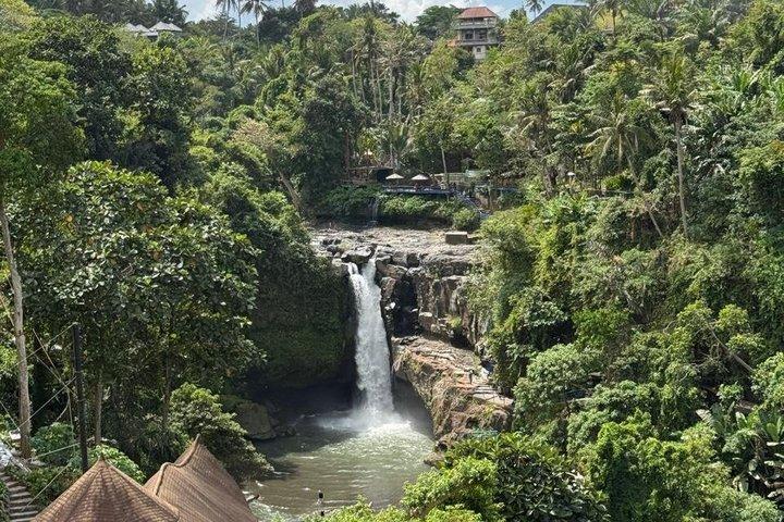 Ubud privétocht, rijstterrassen, tempel, waterval alles inbegrepen